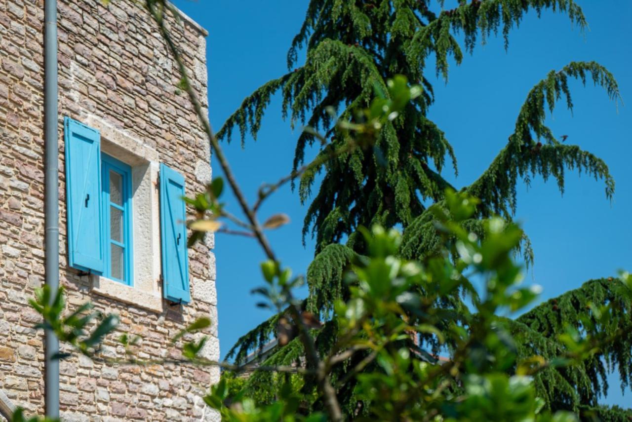Julijud, Heated Pool, Jacuzzi, Dome And Sauna Brajkovici  Exterior photo
